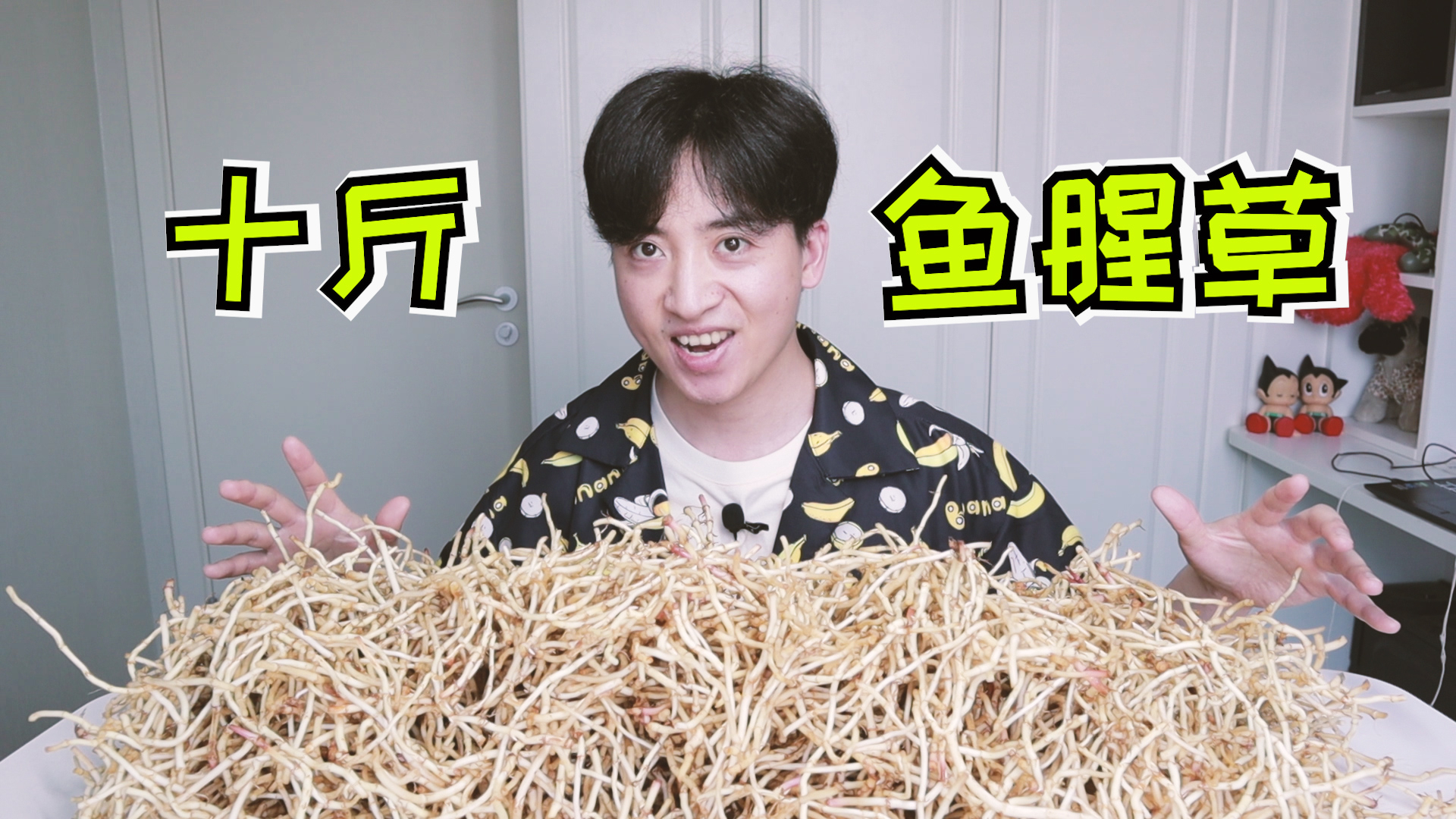 老伙买了十斤鱼腥草,只为喝上一口从未体验过的鱼腥草汁